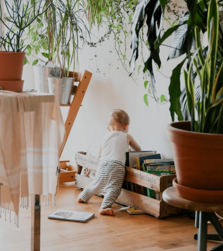 Launching a subscription model, 